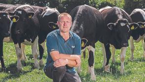 Nature Restoration law "smacks of a deep and corrosive cynicism” says Kilkenny farm leader 