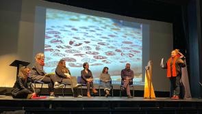 Kilkenny One Parent Community reflects on its success in symposium