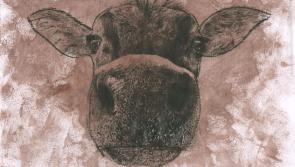 Young Kilkenny student wins prestigious art competition 