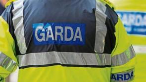 Seven arrested after Gardai seize 31 vehicles, drugs and several weapons&nbsp;

