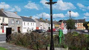 Councillor expresses concern over masterplan for a Kilkenny town