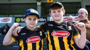 GALLERY: Fan shots and action pics from Kilkenny v Antrim (2024)