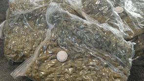 Arrests made following significant drugs seizure in Waterford