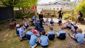 Art and heritage combine to inspire next generation of wildlife enthusiasts in Kilkenny