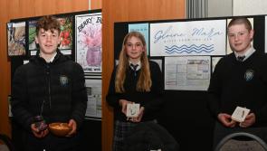 The Kilkenny Student Enterprise Finalists have been named