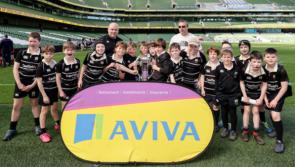 GALLERY: Future Kilkenny rugby stars shine bright at the Aviva Mini Rugby National Festival