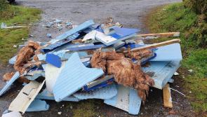 Anger in Tullaroan as rubbish is dumped on the roadside - Kilkenny Live 