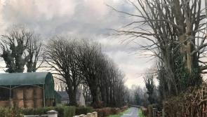 Celebrated artist  showcases the heart of rural life in Kilkenny