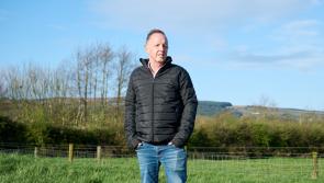 Eddie prepares to pack  a ‘Punch’ in European elections - Kilkenny Live