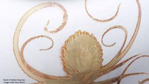 Kilkenny potter to hold exhibition in West Cork 