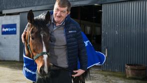 Bonne chance: Kilkenny hero horse Hewick has &lsquo;massive chance&rsquo; in France