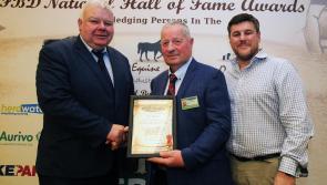 Kilkenny farmer wins Angus Hall of Fame Award