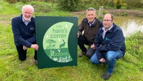 Over €90,000 awarded to Kilkenny biodiversity projects 