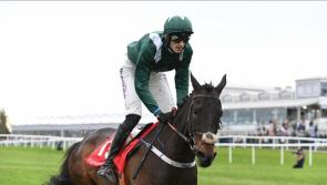LISTEN: Kilkenny man Dan Blanchfield fulfills ambition to ride in Punchestown - Kilkenny People Sport Podcast 