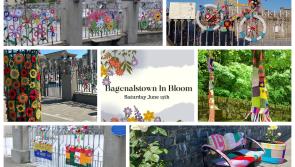 Workshops, music and colour just over the Kilkenny border in Bagenalstown
 