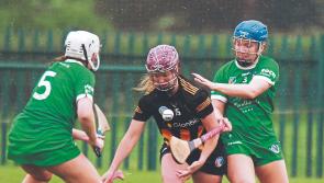 Kilkenny Seniors get off to a flying start in Limerick
