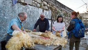 Unique Kilkenny festival will bring you back in time