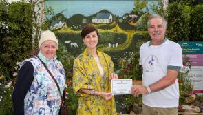 Kilkenny 'Postcard Garden' wins Bloom award!