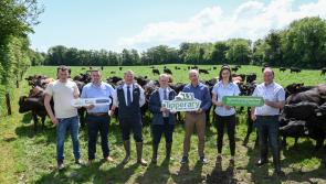 Kilkenny Farming - Dairy calf to beef demonstration farm launched by Teagasc 
