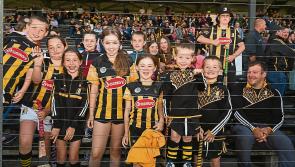Pictures: Kilkenny hurlers to hold open training session in Nowlan Park tonight