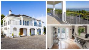 PICTURES: Beverly Hills style mansion in neighbouring Waterford for sale!