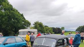 PICTURES: Kilkenny Castle hosts vintage car display 