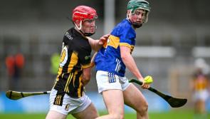 Mol An Óige - Criticism not the correct Cat medicine - Kilkenny Live