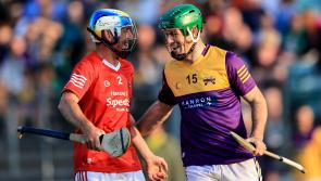 Kilkenny hurling legend TJ Reid to take part in Hurling for Cancer Research 2024
