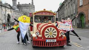 Kilkenny community groups to take the fight to litter 