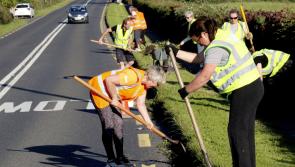 Community heroes! Tidy Towns tackle busy roadside