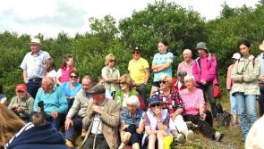 Crowds turn out for Tory Hill climb on Kilkenny's Fraochan Sunday
