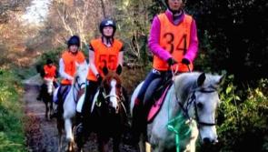 Teams from UK and Ireland to converge on Kilkenny for prestigious 160km horse race 