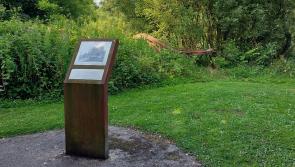 Calls for new pedestrian bridge in Kilkenny and removal of steel supports of original Talbot's Inch bridge
