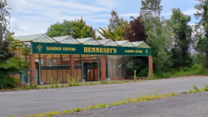 IN PICTURES: Former garden centre in Kilkenny now listed for sale for whopping €475,000