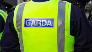 Train full of football supporters catch the eye of Kilkenny Gardaí