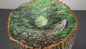 A vivid exploration of time and memory at Butler Gallery in Kilkenny