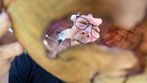 Craft & Design launch exhibition titled ‘Past, Present – Future Perfect’ launched in Kilkenny