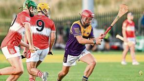 Pictures: TJ, Tommy, and a galaxy of Kilkenny stars line out for Hurling for Cancer