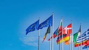 Could information about the European Union be on the curriculum in Kilkenny schools?