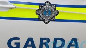 Kilkenny Gardaí on duty in city-centre as high-profile march takes place  