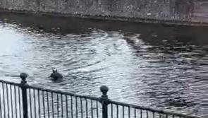 Editorial: Latest water-based activity on River Nore is not a good look for Kilkenny   