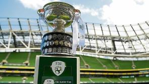 Find out who Kilkenny clubs will face in the FAI Junior Cup