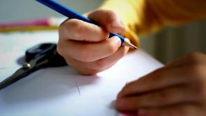 Kilkenny students may have a new subject this academic year! 