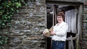  Author gives rural Kilkenny the Bridget Jones treatment