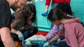 Three Kilkenny schools to join Creative Arts Programme