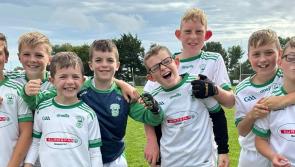 Band of Brothers - Four sets of brothers line-out for victorious Kilkenny GAA team 