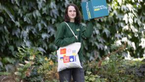 Kilkenny's Katie helps launch Comhairle’s new website