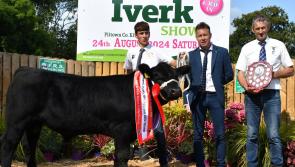 Exciting plans for Kilkenny's Iverk Show!