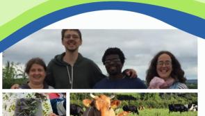 Social Farming open day at Kilkenny farm - all invited