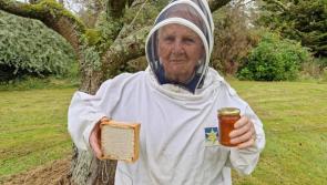 Kilkenny beekeeper's honey sales support the world's poorest
